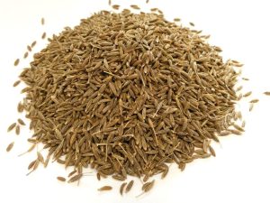 Biggest exporter india