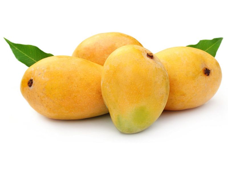 Mango exporter in India
