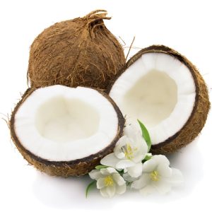 Coconut Export Business