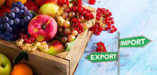 Fruits And vegetable exporter